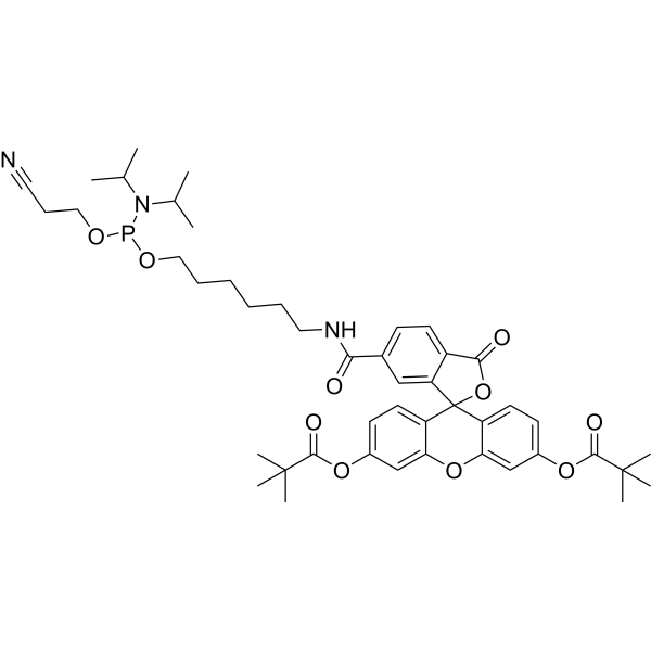6-Fluorescein phosphoramidite 204697-37-0